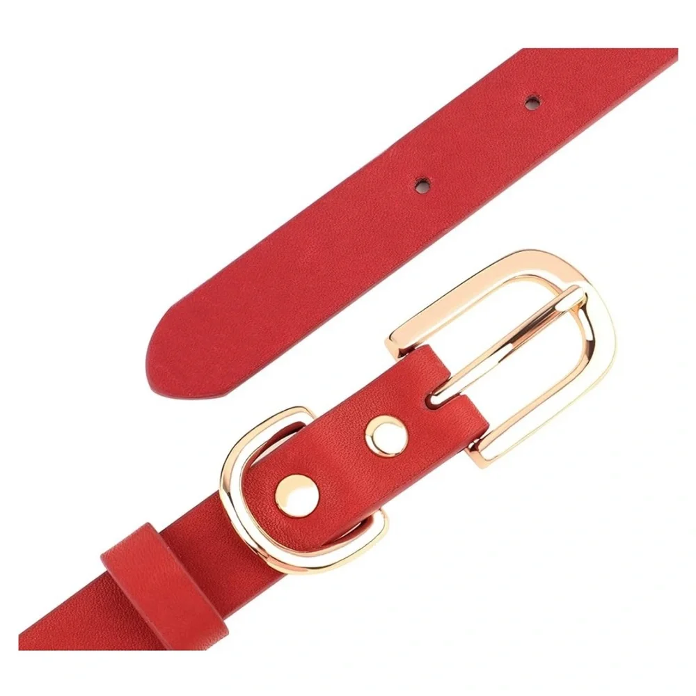 Leather studded dog collar